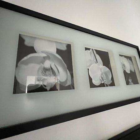 Celia'S Home - Expo Fiera Milano Pero Ngoại thất bức ảnh